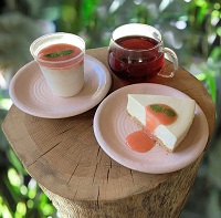 ピンクリボンキャンペーン2021 | キャンペーン | 個人のお客さま