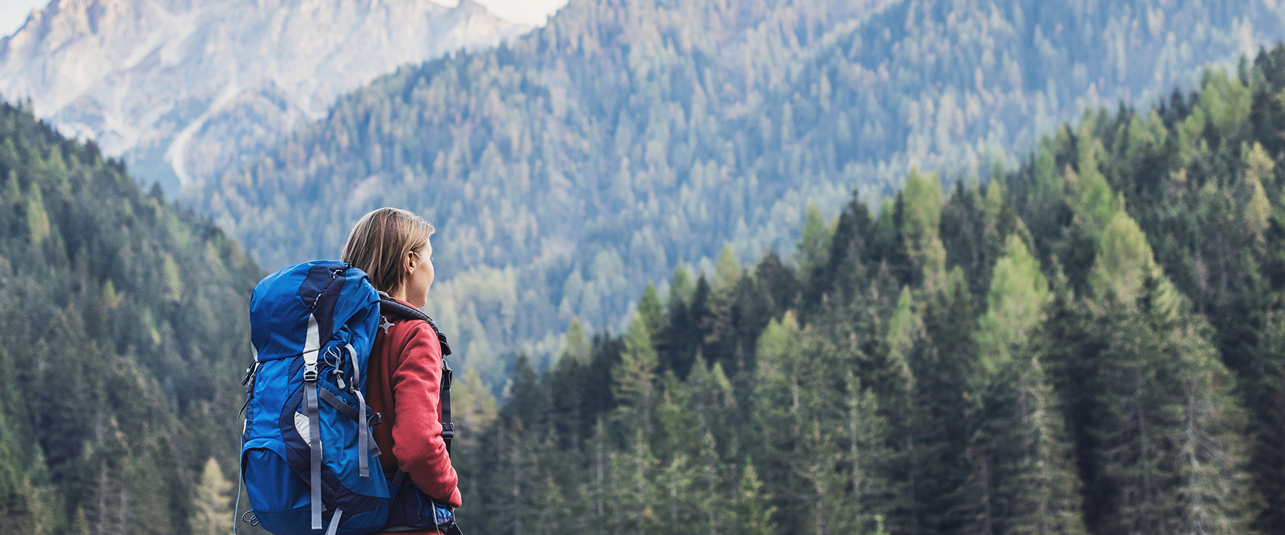 保険 イメージ画像