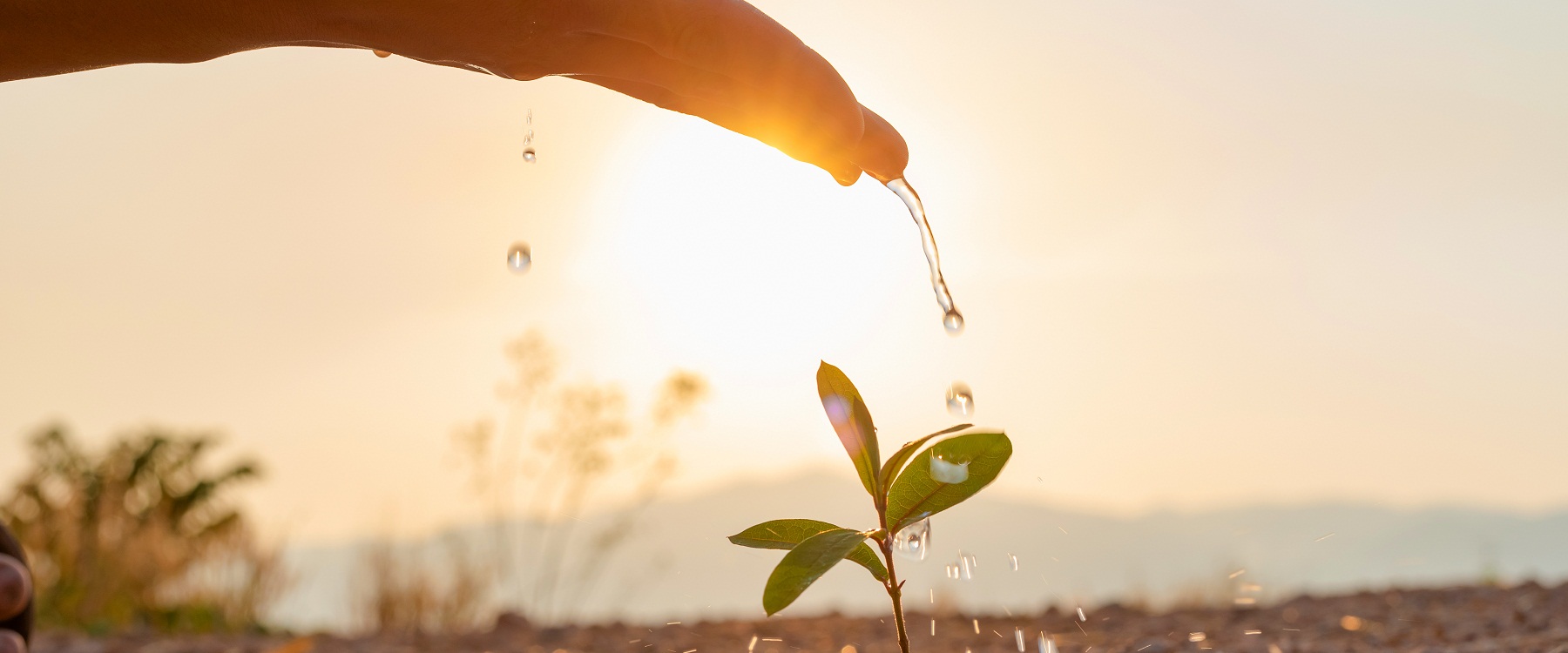 国債 イメージ画像