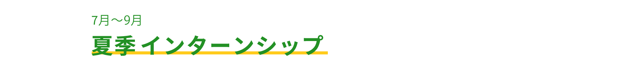 夏季 インターンシップ